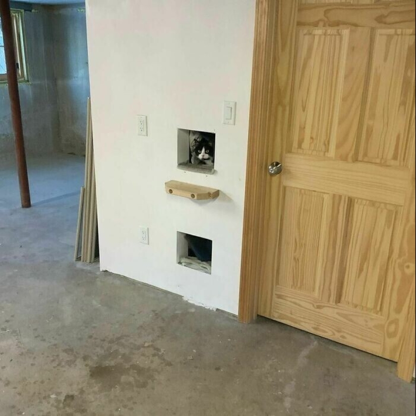 25 imágenes del Fondo de vivienda de los inspectores, que han visto un montón de interesantes 25 imágenes del Fondo de vivienda de los inspectores, que han visto un montón de interesantes