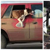 25 impressive examples that demonstrate the merciless influence of time