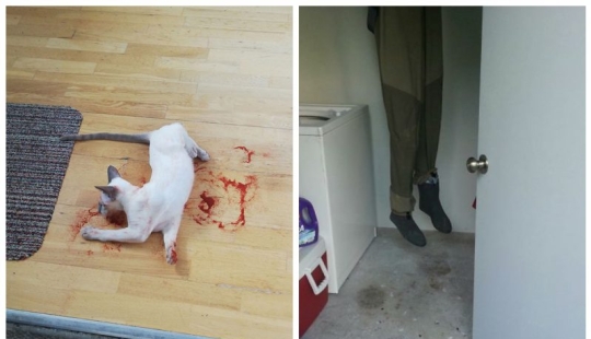 25 innocent things that almost caused a heart attack 25 innocent things that almost caused a heart attack