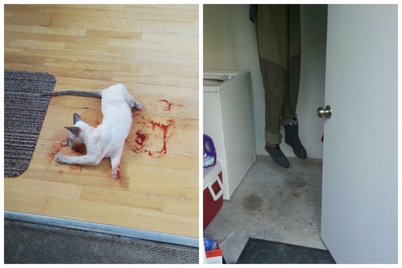 25 inocente cosas que casi causa un ataque al corazón 25 inocente cosas que casi causa un ataque al corazón