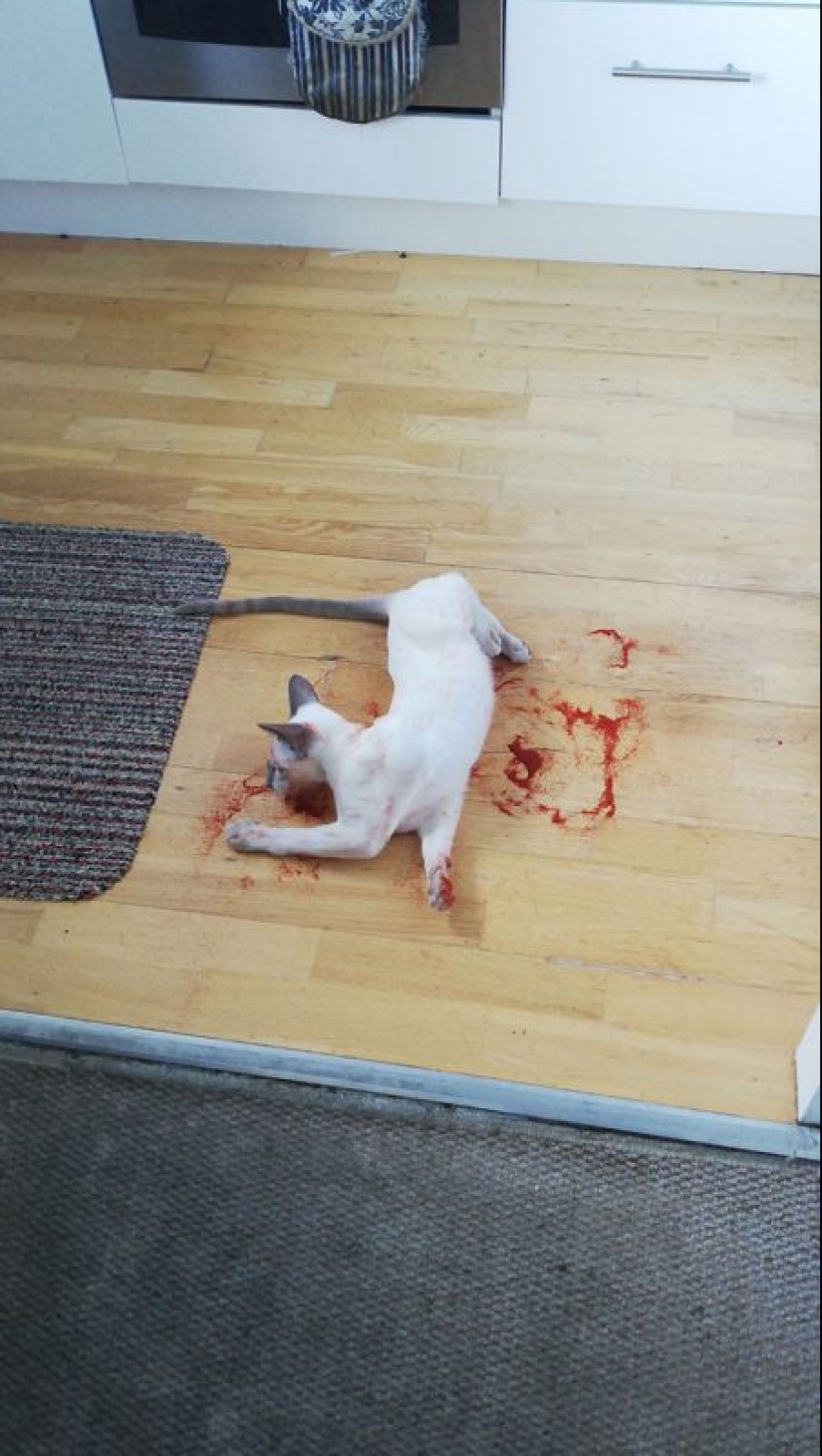 25 inocente cosas que casi causa un ataque al corazón 25 inocente cosas que casi causa un ataque al corazón