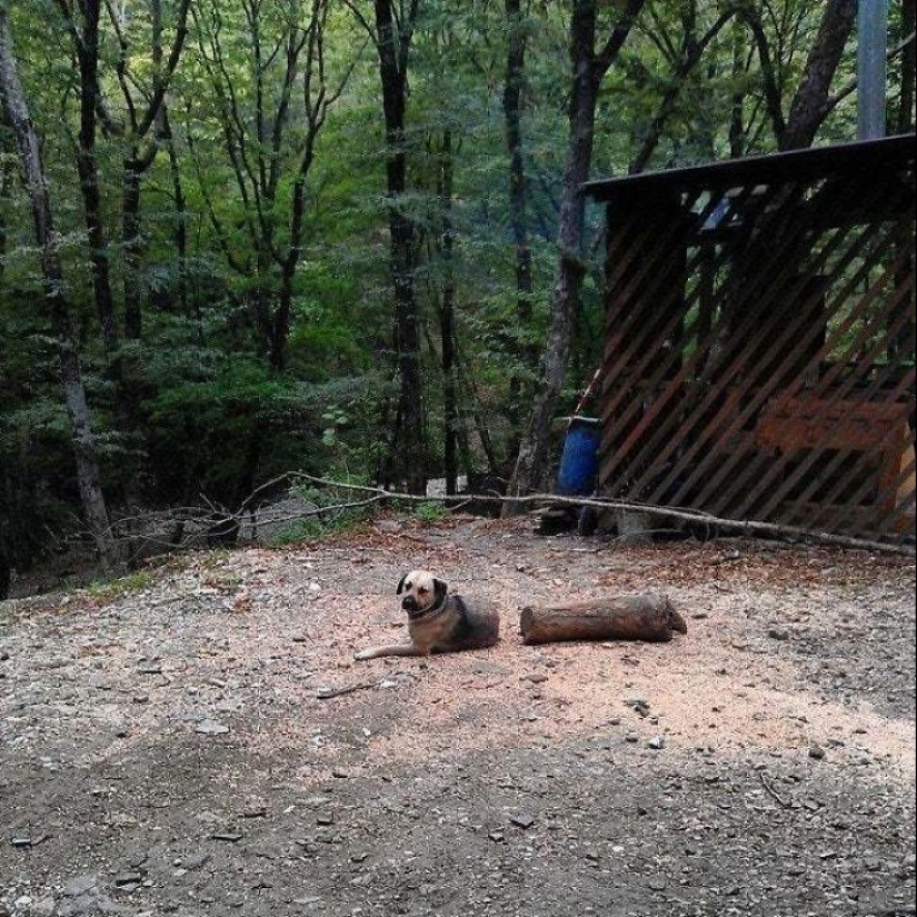 25 inocente cosas que casi causa un ataque al corazón 25 inocente cosas que casi causa un ataque al corazón
