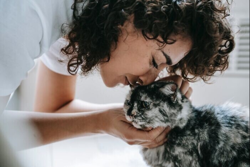 25 invisible privilegios que las personas simplemente se acostumbraron 25 invisible privilegios que las personas simplemente se acostumbraron