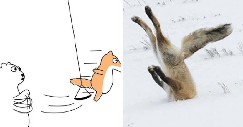 25 lindos cómics basados en memes fotográficos sobre animales 25 lindos cómics basados en memes fotográficos sobre animales
