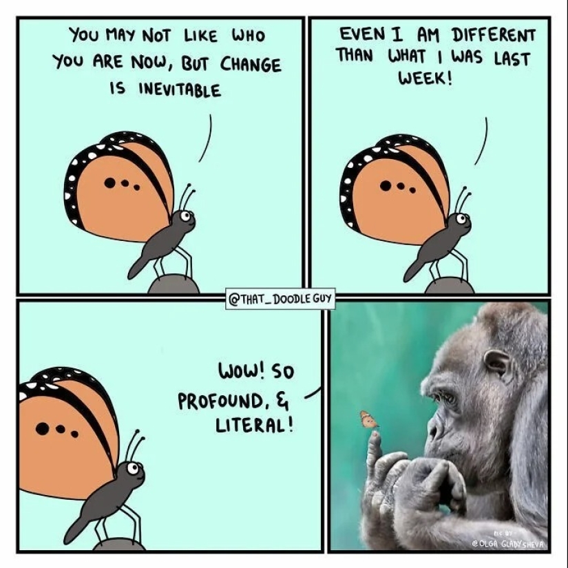 25 lindos cómics basados en memes fotográficos sobre animales 25 lindos cómics basados en memes fotográficos sobre animales