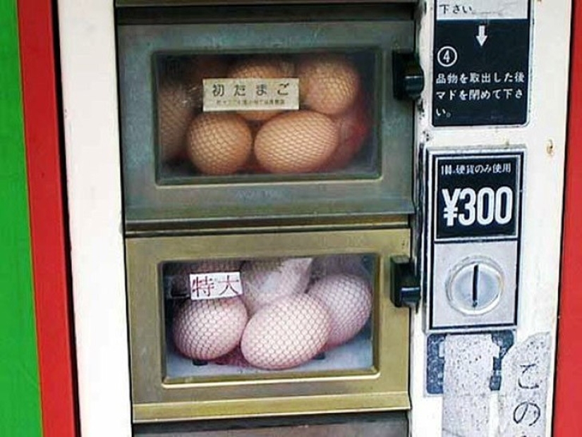 25 loco que sólo se puede encontrar en Japón 25 loco que sólo se puede encontrar en Japón