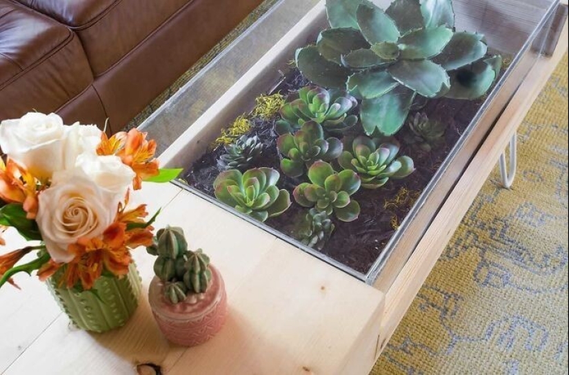 25 mesas con "jardines" de suculentas 25 mesas con "jardines" de suculentas