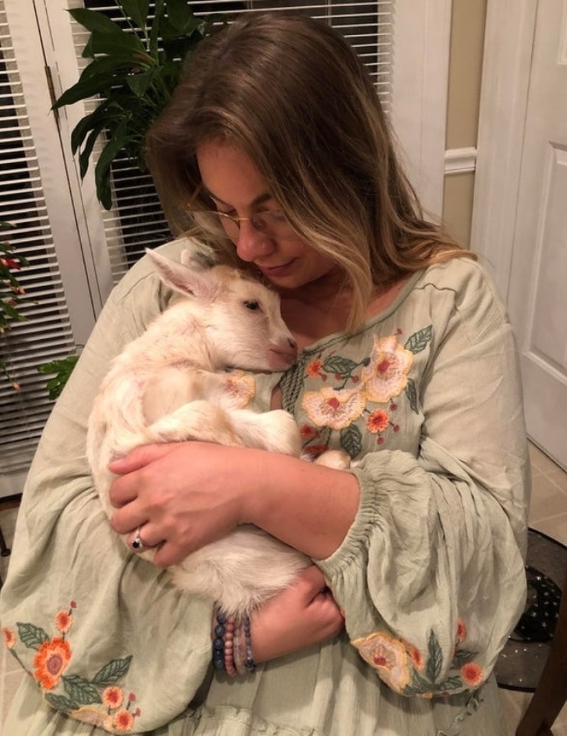 25 mullidas y lindas pruebas de que las cabras bebé pueden eclipsar a los gatitos y cachorros con su dulzura