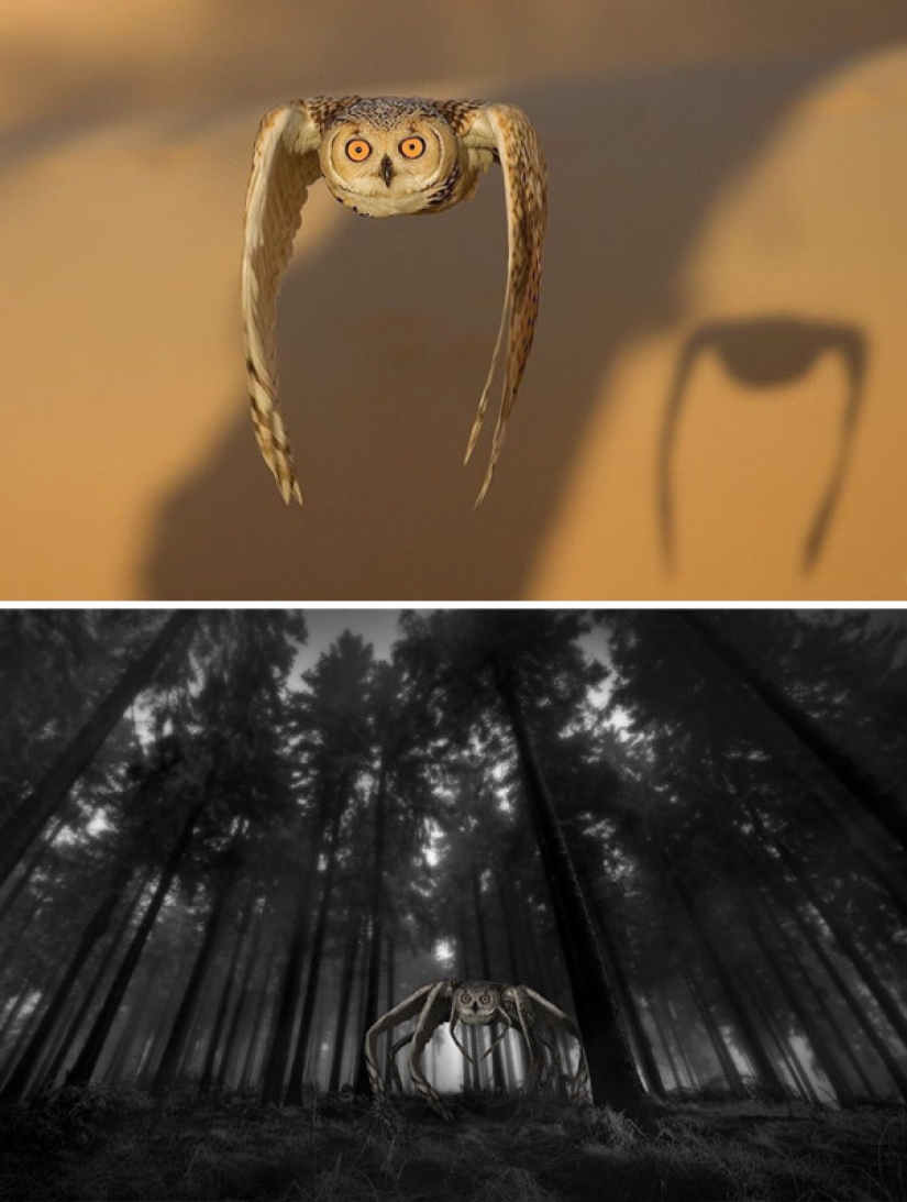 25 obras de los ganadores de las batallas de photoshop