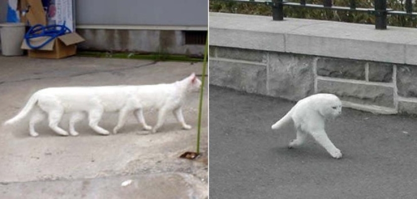 25 of the worst sights in the world 25 of the worst sights in the world
