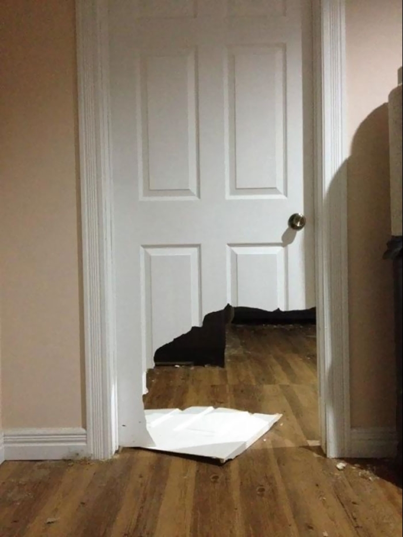 25 people who left their furry ones at home alone and bitterly regretted it 25 people who left their furry ones at home alone and bitterly regretted it