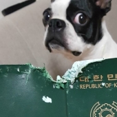 25 people who were caught up in bad luck 25 people who were caught up in bad luck