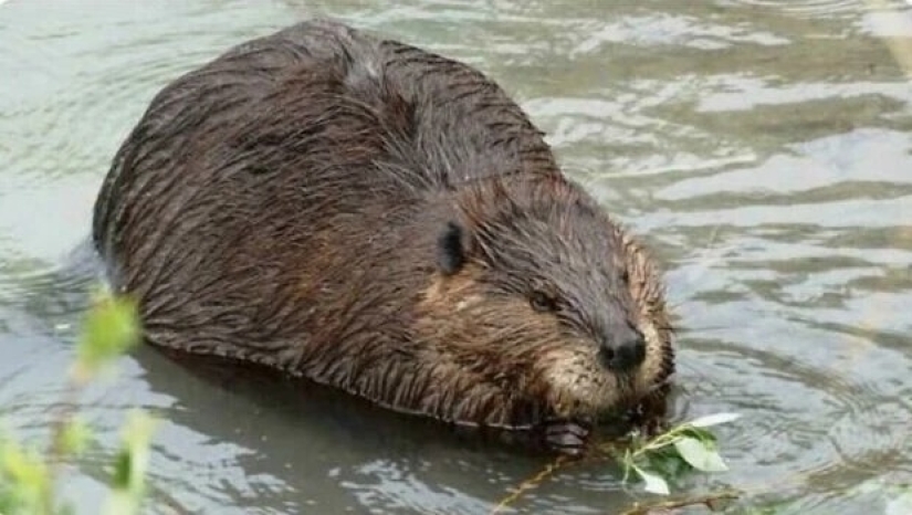 25 peores pesadillas que el personal de soporte técnico tuvo que enfrentar 25 peores pesadillas que el personal de soporte técnico tuvo que enfrentar