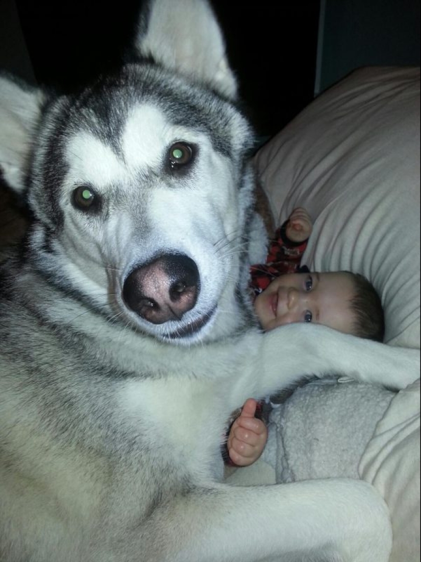 25 perros que harán de su día más feliz