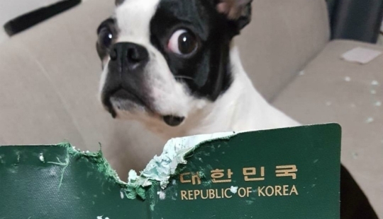 25 personas que se vieron atrapadas en la mala suerte 25 personas que se vieron atrapadas en la mala suerte