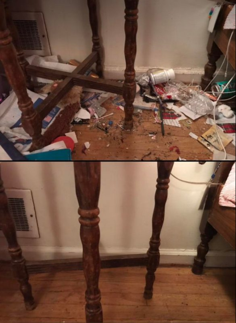25 photos that you'll want to clean up after viewing