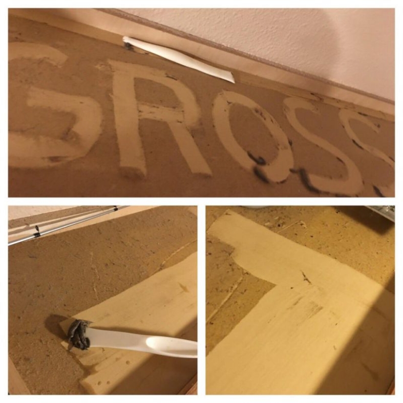 25 photos that you'll want to clean up after viewing