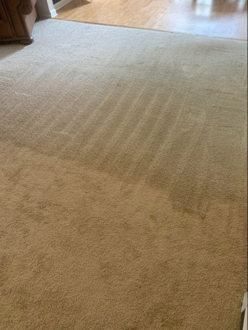 25 photos that you'll want to clean up after viewing