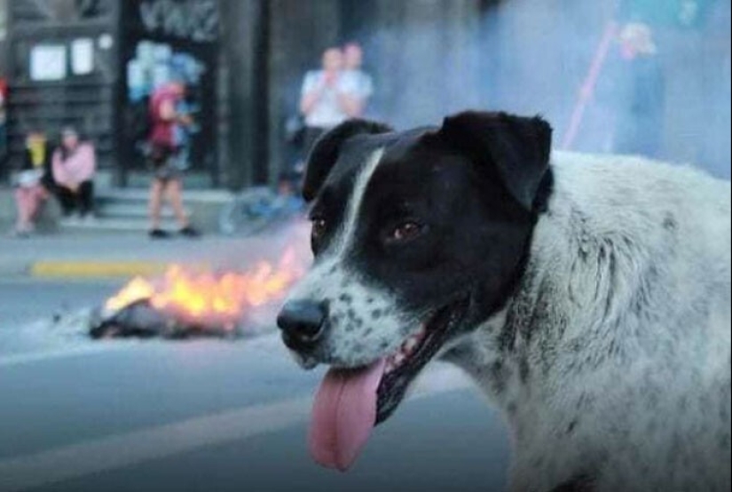 25 proofs that history is not made by politicians, but by ordinary people