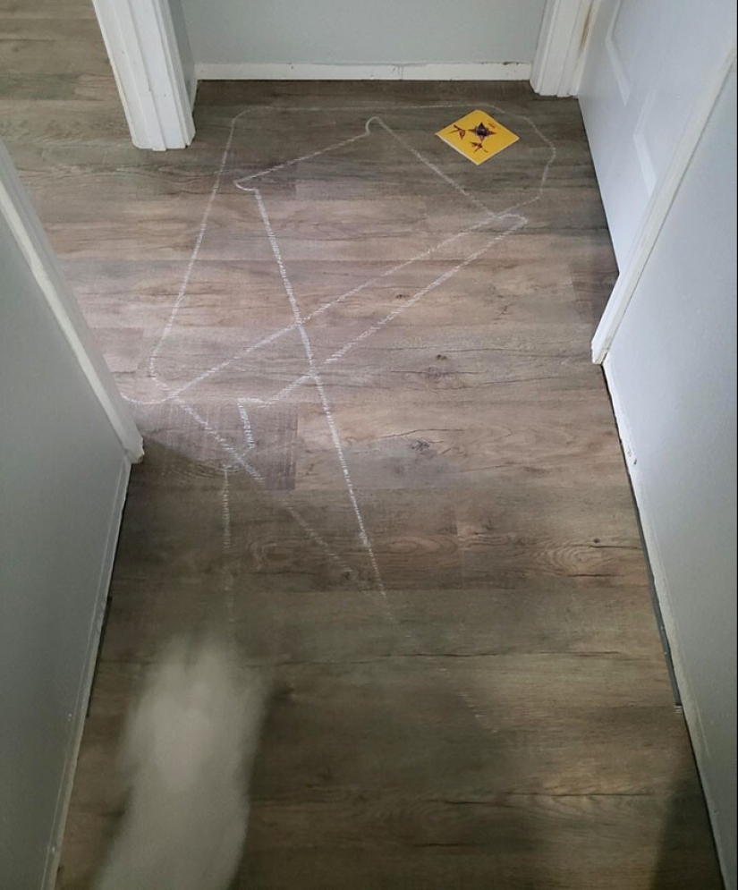 25 proofs that robot vacuum cleaners are still pranksters 25 proofs that robot vacuum cleaners are still pranksters