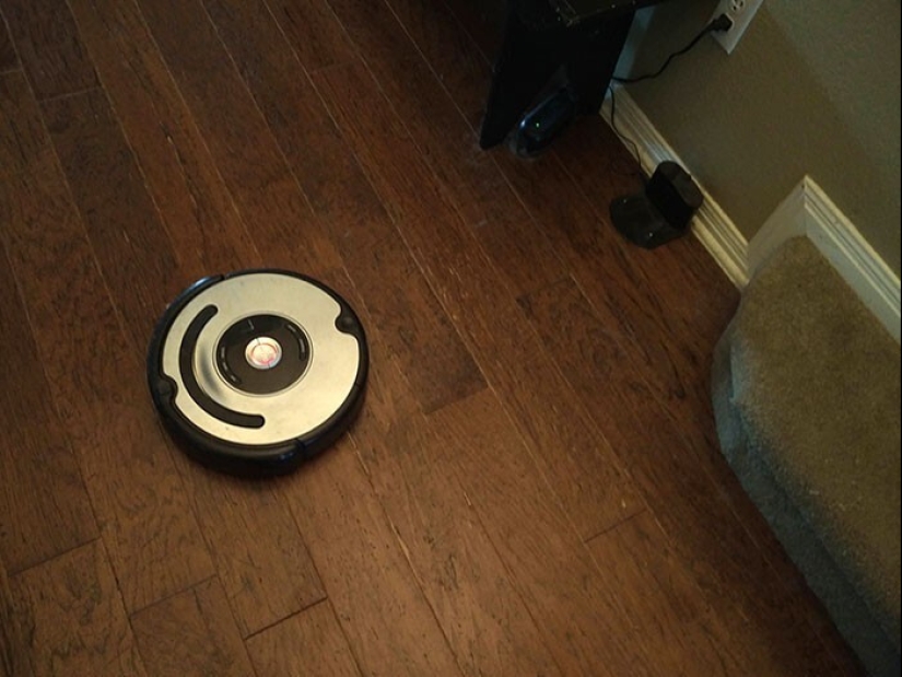 25 proofs that robot vacuum cleaners are still pranksters 25 proofs that robot vacuum cleaners are still pranksters