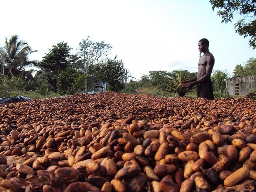 25 "sweet" facts about chocolate