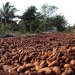 25 "sweet" facts about chocolate 25 "sweet" facts about chocolate