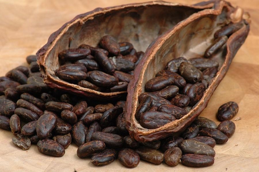 25 "sweet" facts about chocolate