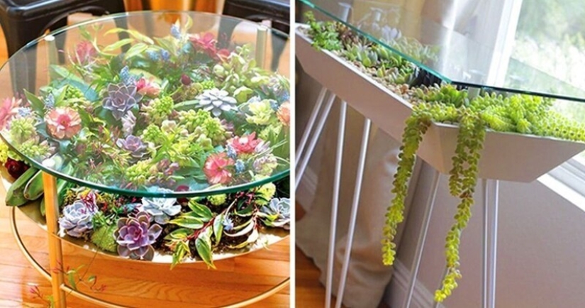25 tables with" gardens " of succulents 25 tables with" gardens " of succulents