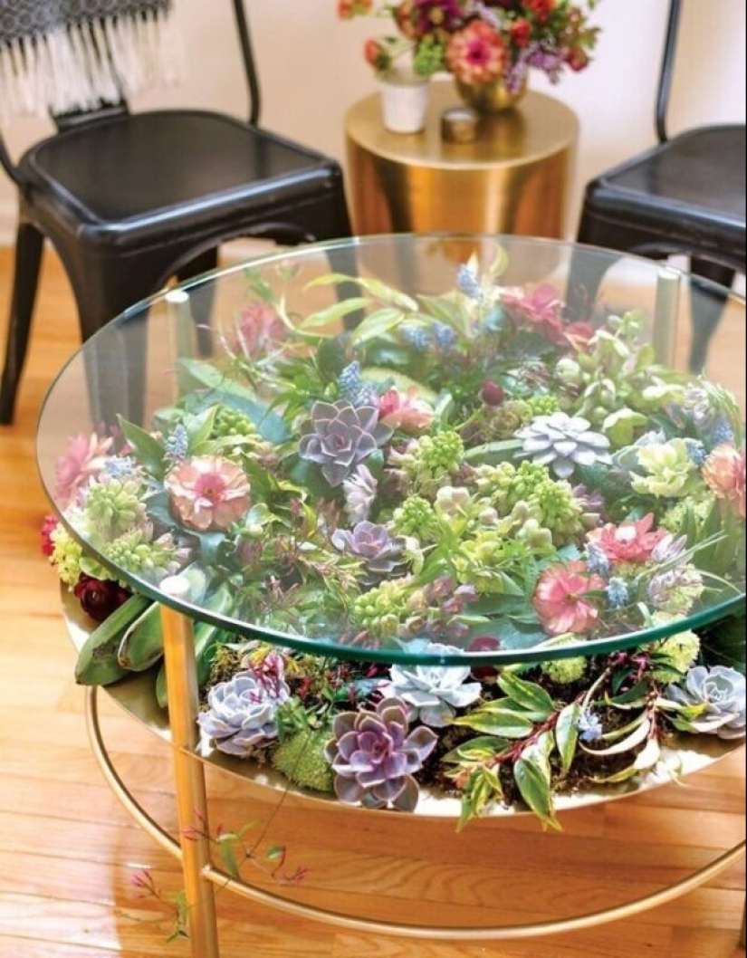 25 tables with" gardens " of succulents 25 tables with" gardens " of succulents