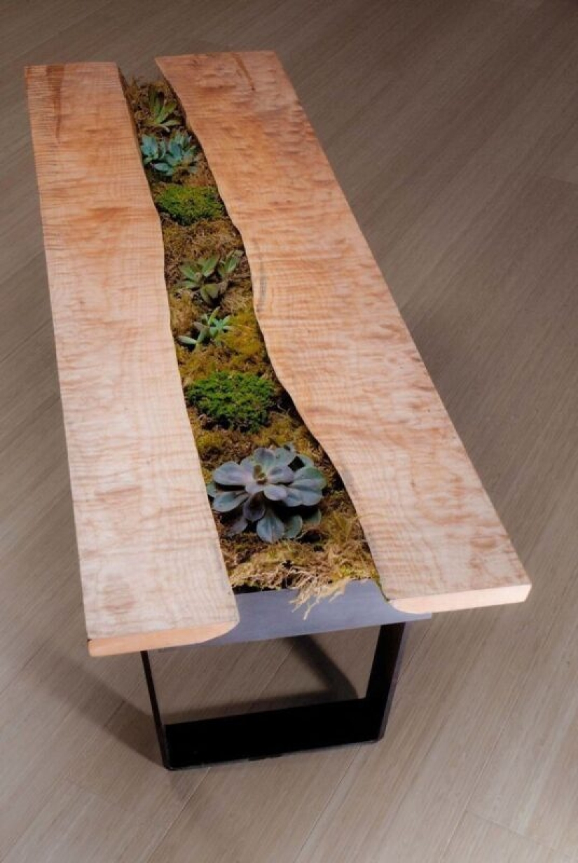 25 tables with" gardens " of succulents 25 tables with" gardens " of succulents
