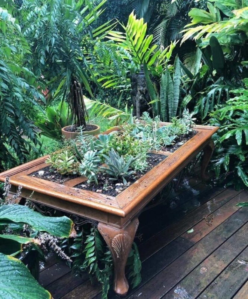 25 tables with" gardens " of succulents 25 tables with" gardens " of succulents