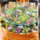 25 tables with" gardens " of succulents 25 tables with" gardens " of succulents