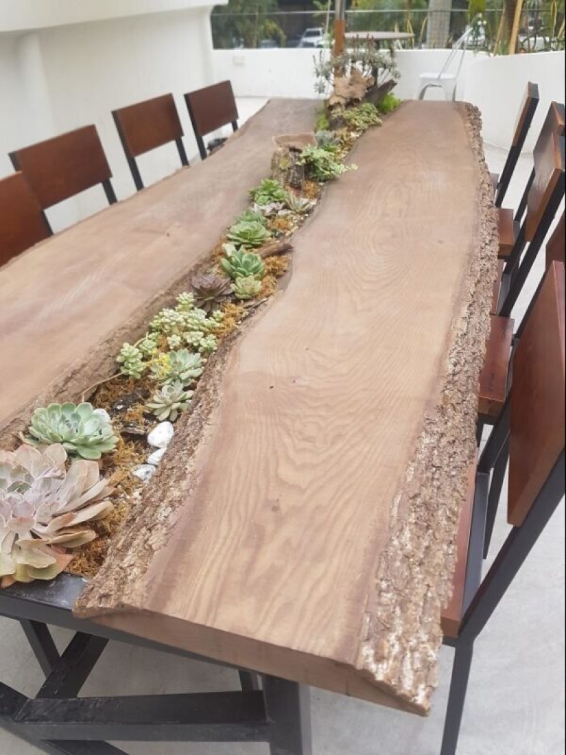 25 tables with" gardens " of succulents 25 tables with" gardens " of succulents