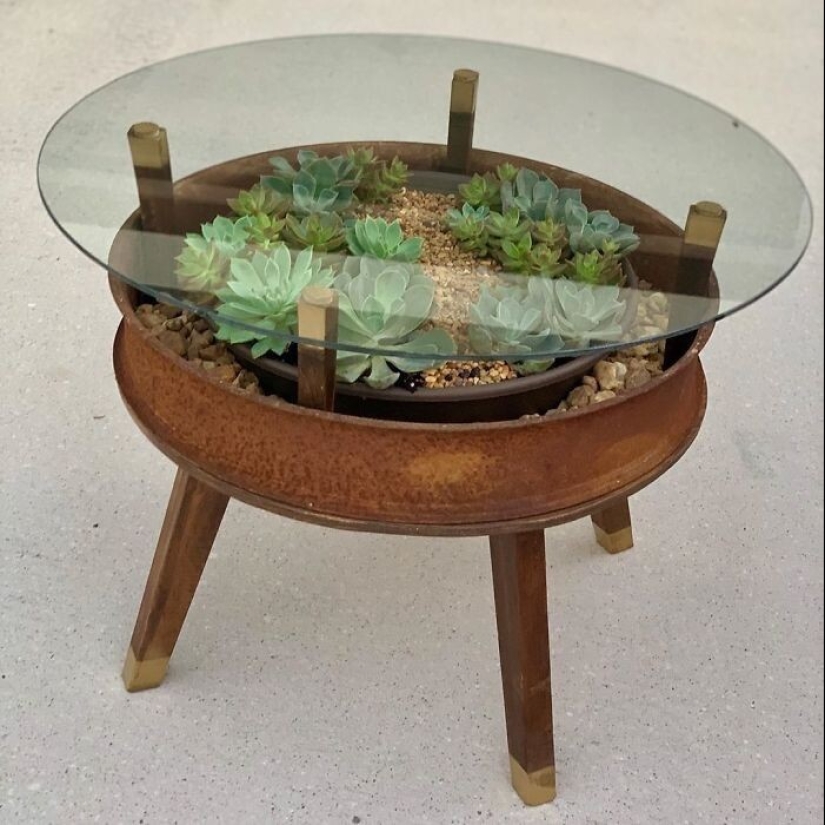 25 tables with" gardens " of succulents 25 tables with" gardens " of succulents