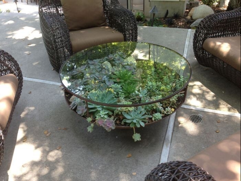 25 tables with" gardens " of succulents 25 tables with" gardens " of succulents