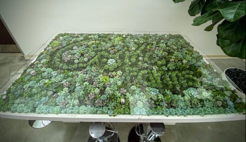 25 tables with" gardens " of succulents 25 tables with" gardens " of succulents