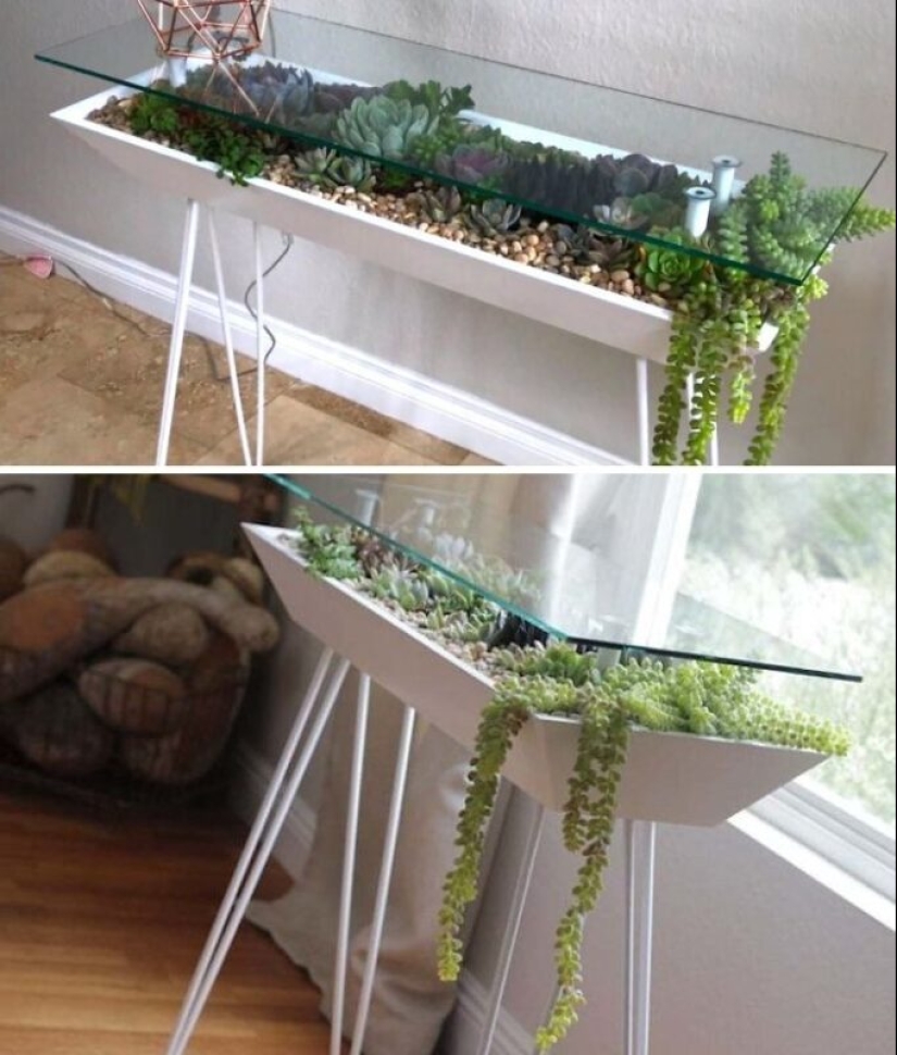 25 tables with" gardens " of succulents 25 tables with" gardens " of succulents