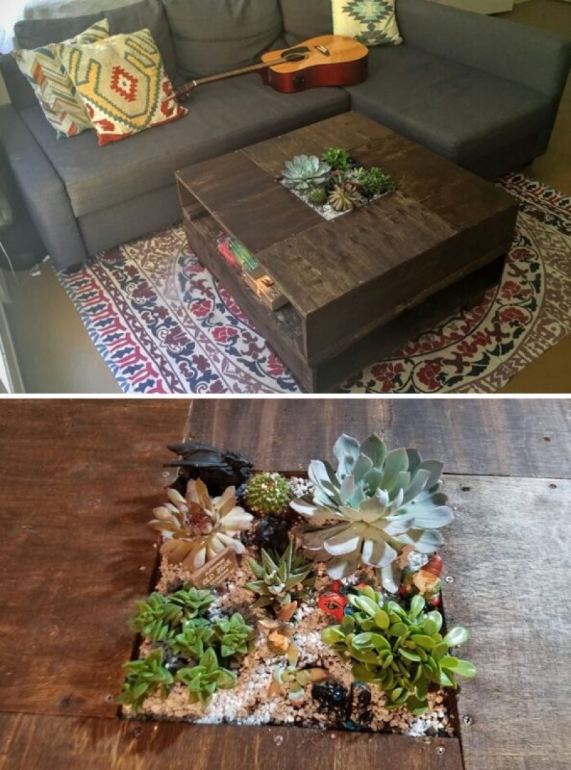 25 tables with" gardens " of succulents 25 tables with" gardens " of succulents