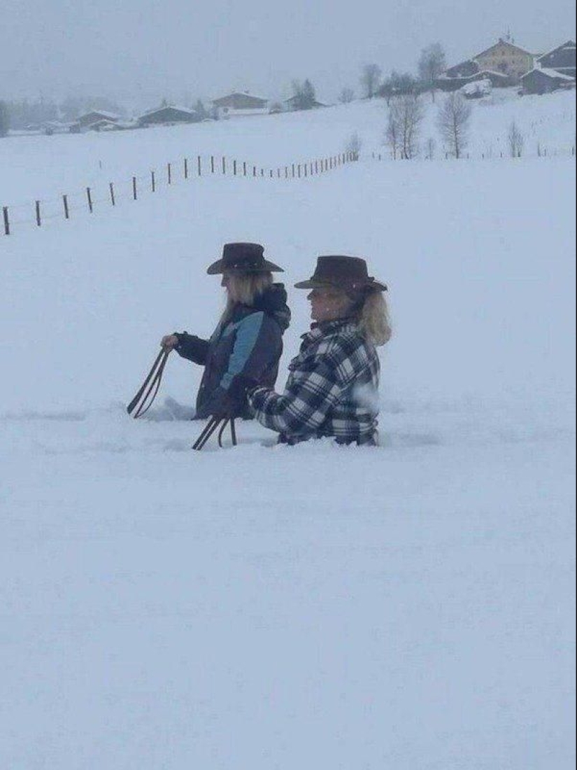 25 times when people have declared war on logic and won it