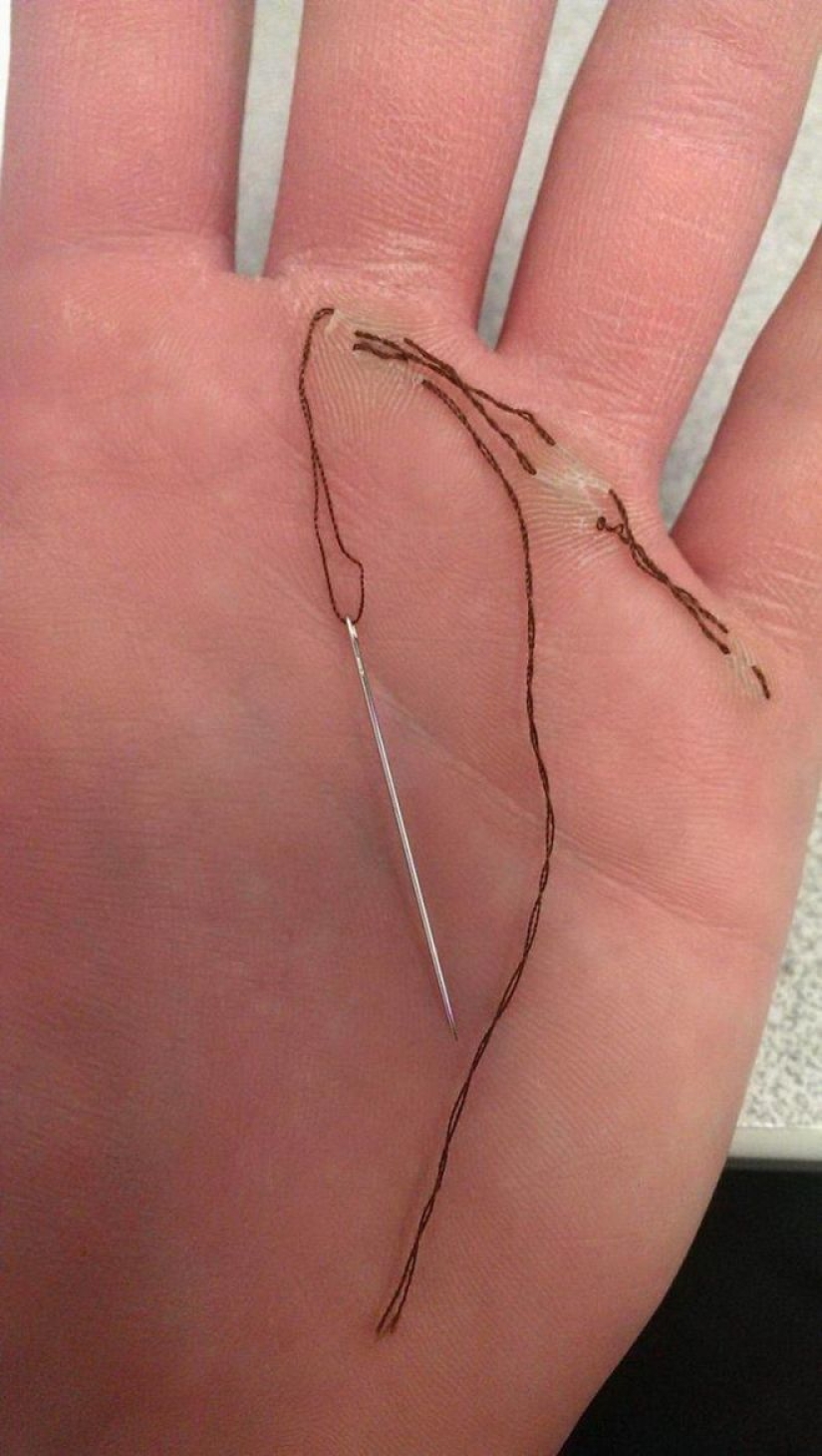 25 times when people have declared war on logic and won it