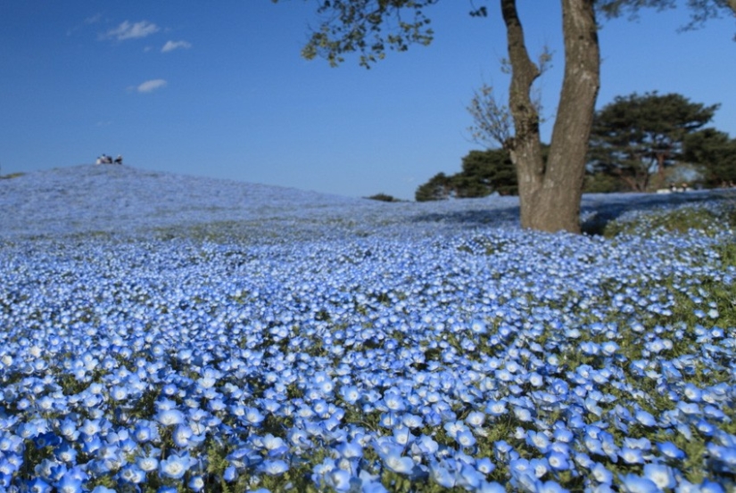 25 tourist destinations you probably Haven't heard of