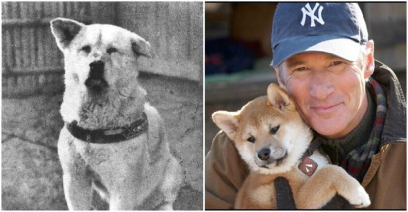 25 truly fascinating stories that formed the basis of famous films