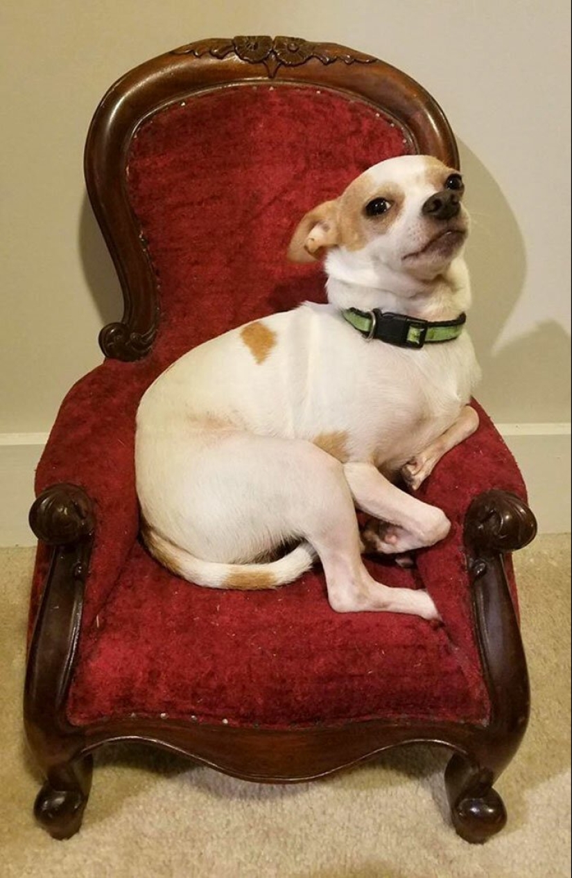 25 unusual things bought at flea markets and thrift stores