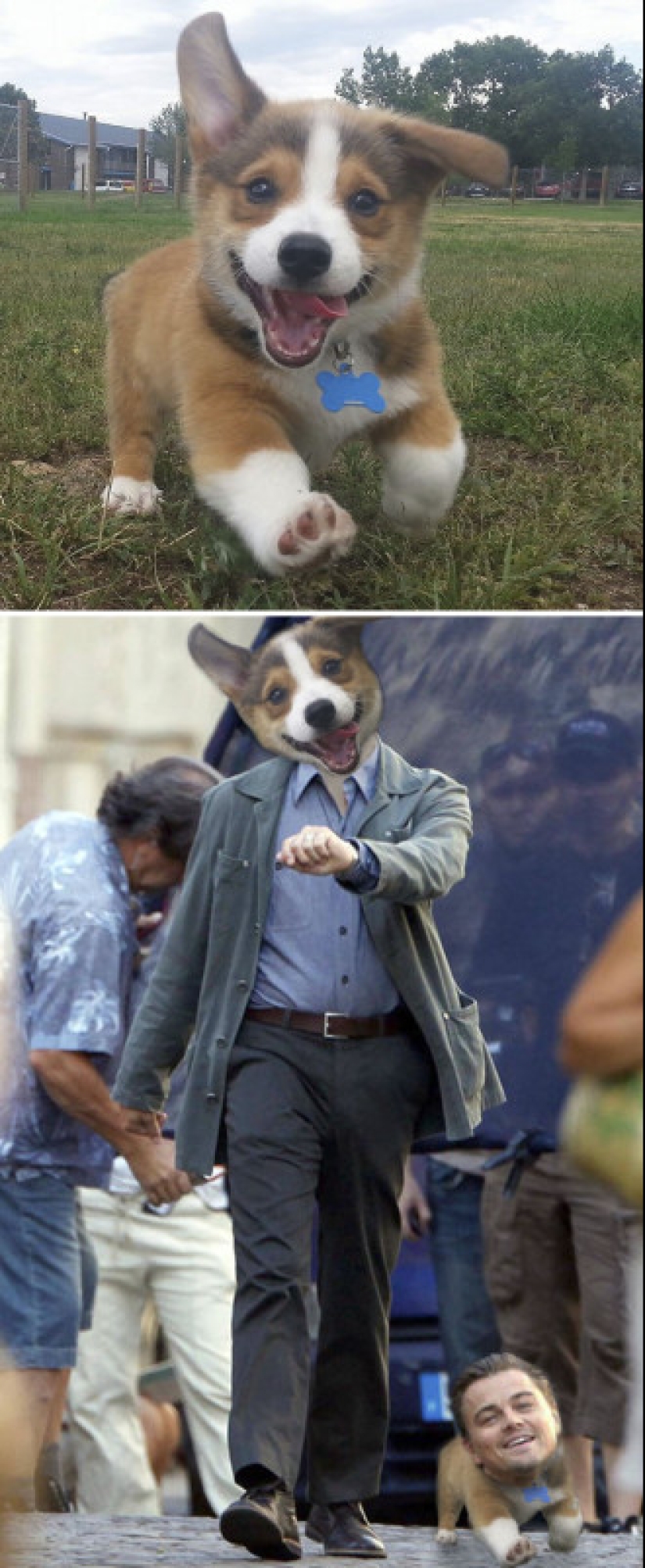 25 works of the winners of photoshop battles