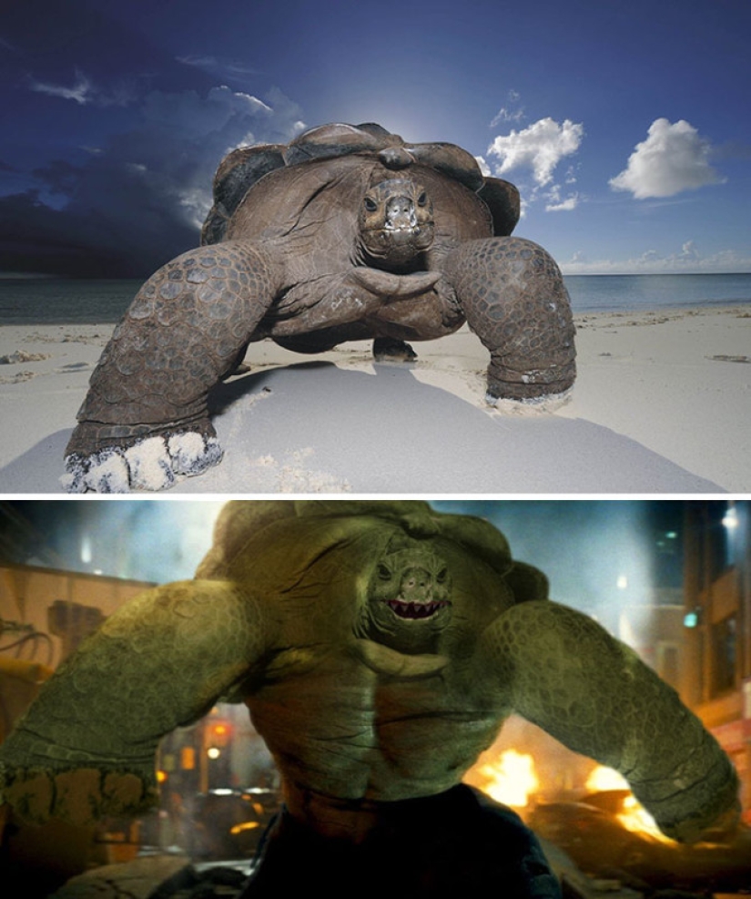 25 works of the winners of photoshop battles