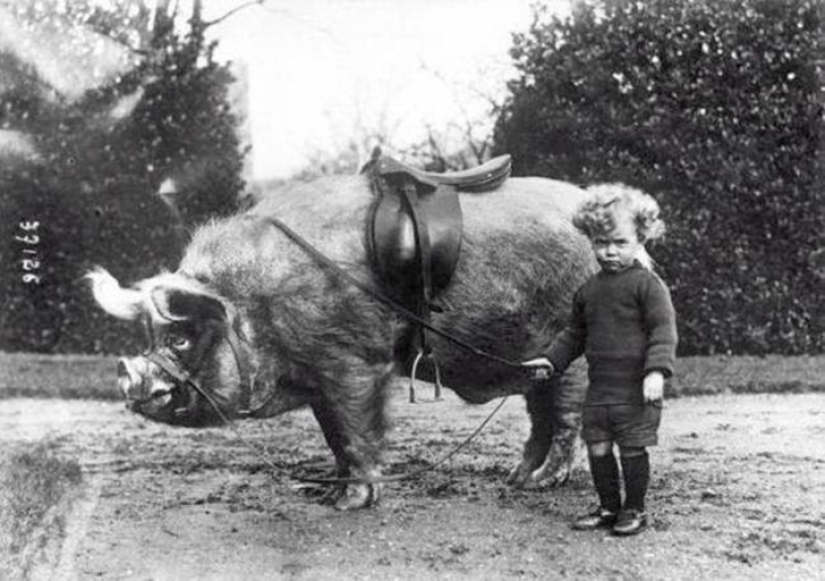 26 freaky historical facts from the series " Nichosi!»