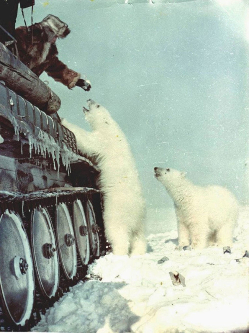 26 freaky historical facts from the series " Nichosi!»