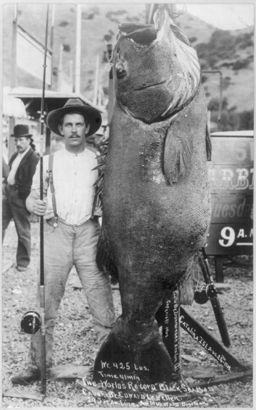 26 freaky historical facts from the series " Nichosi!»