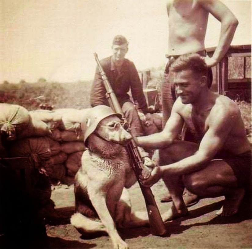 26 freaky historical facts from the series " Nichosi!»